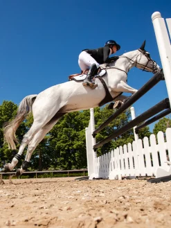Anatomische Streichkappen Fetlock Boots