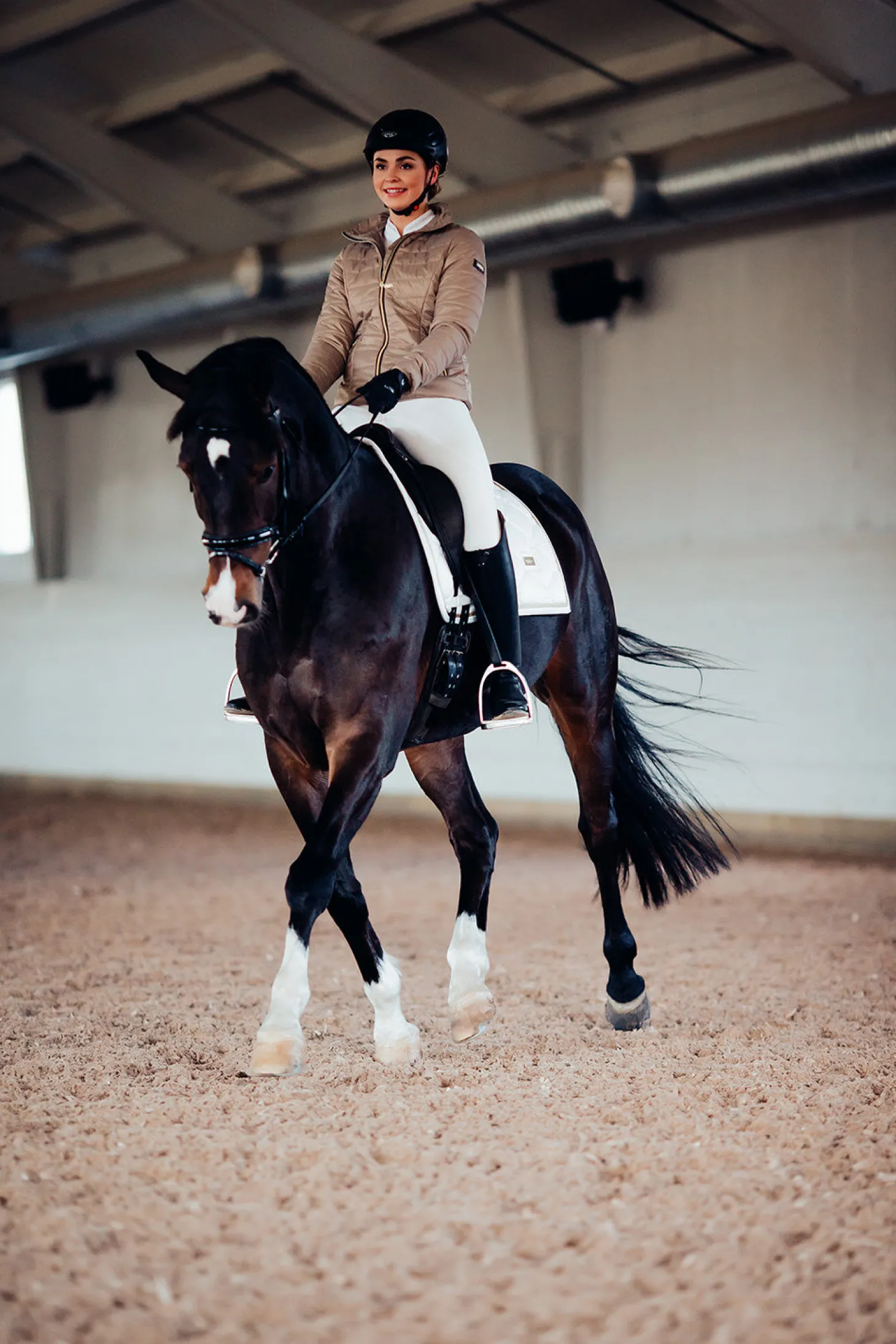 Dressurschabracke Gold