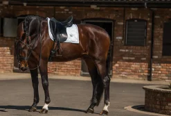 Dressurschabracke Silver