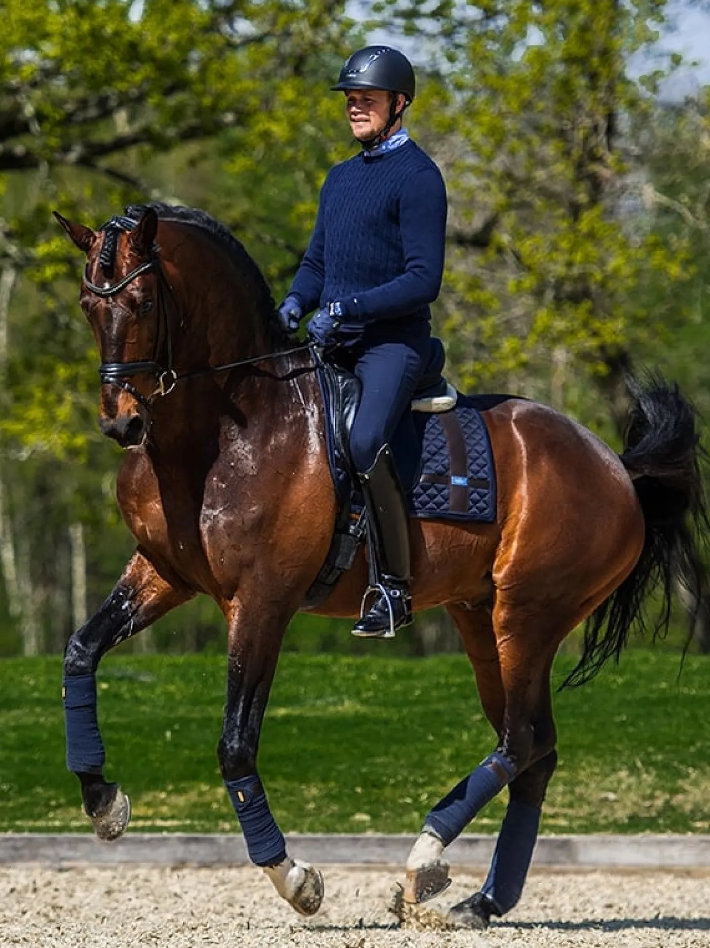 Dressurschabracke Silver