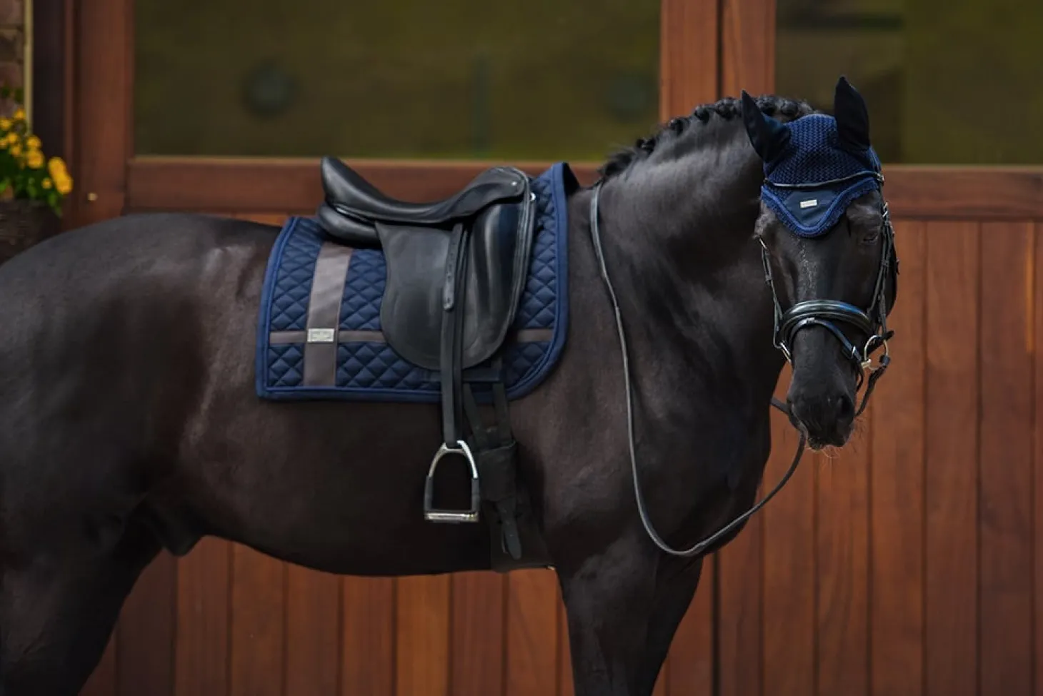 Dressurschabracke Silver