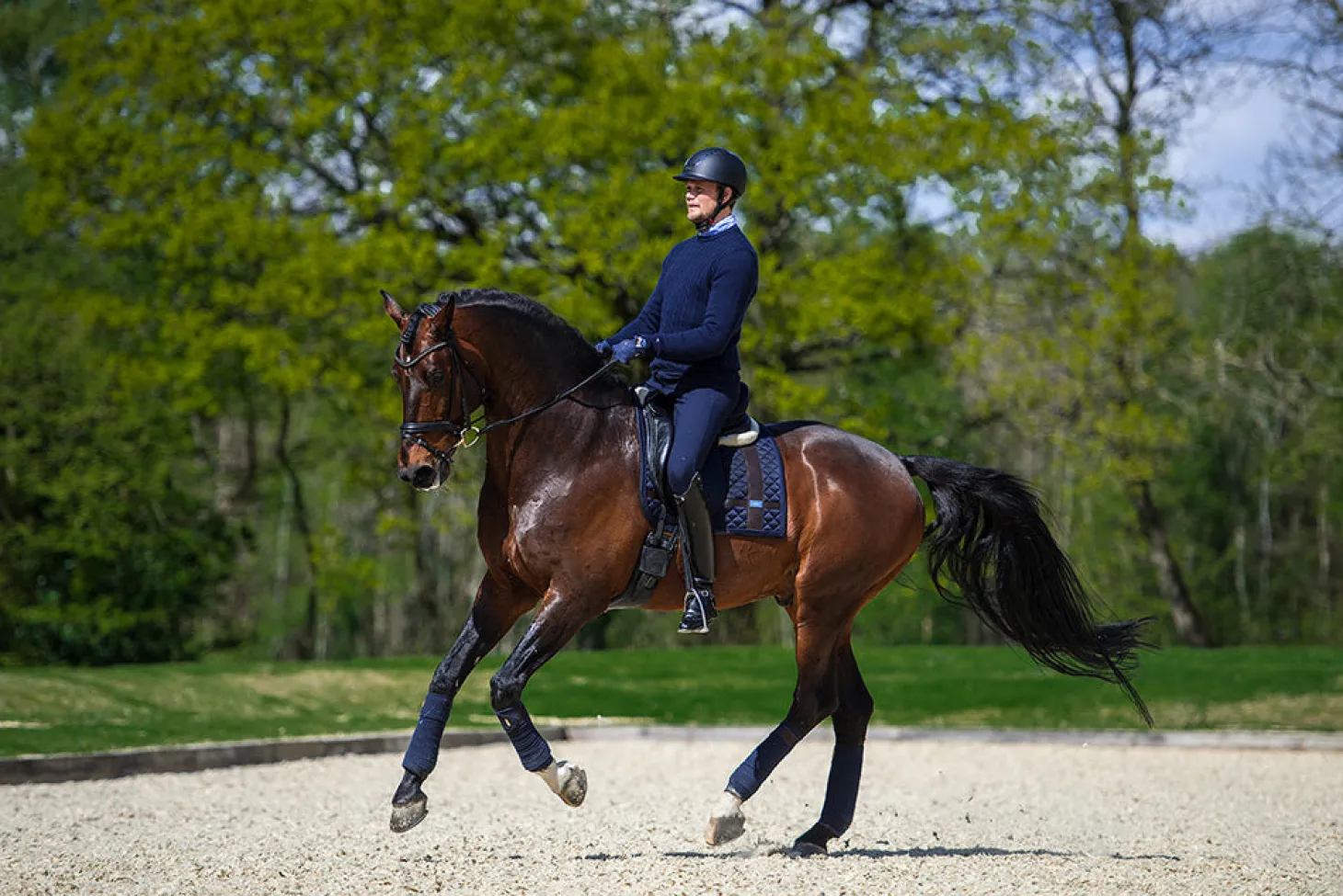 Dressurschabracke Silver