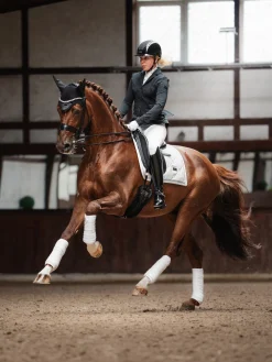 Dressurschabracke Crystal