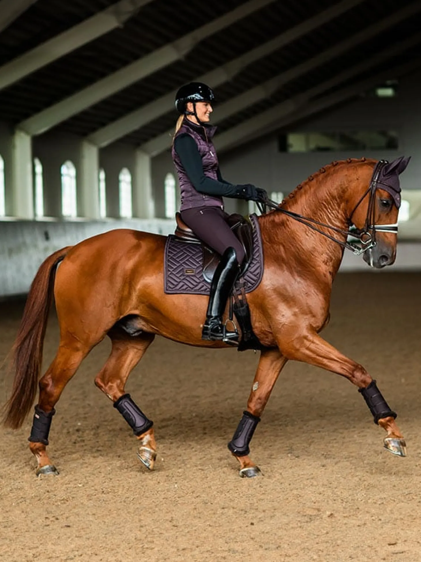 Dressurschabracke Modern