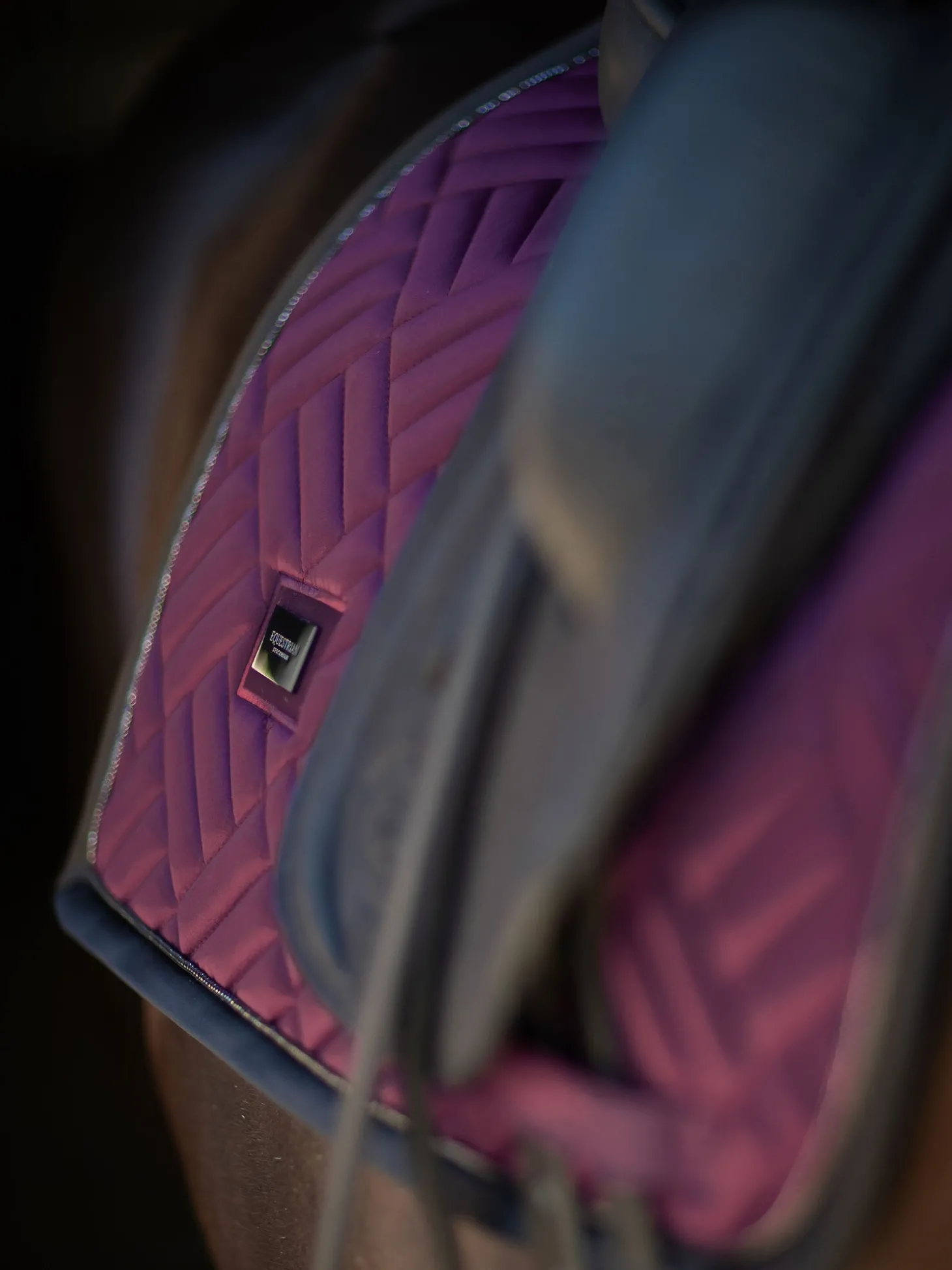 Dressurschabracke Modern