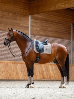 Dressurschabracke Modern