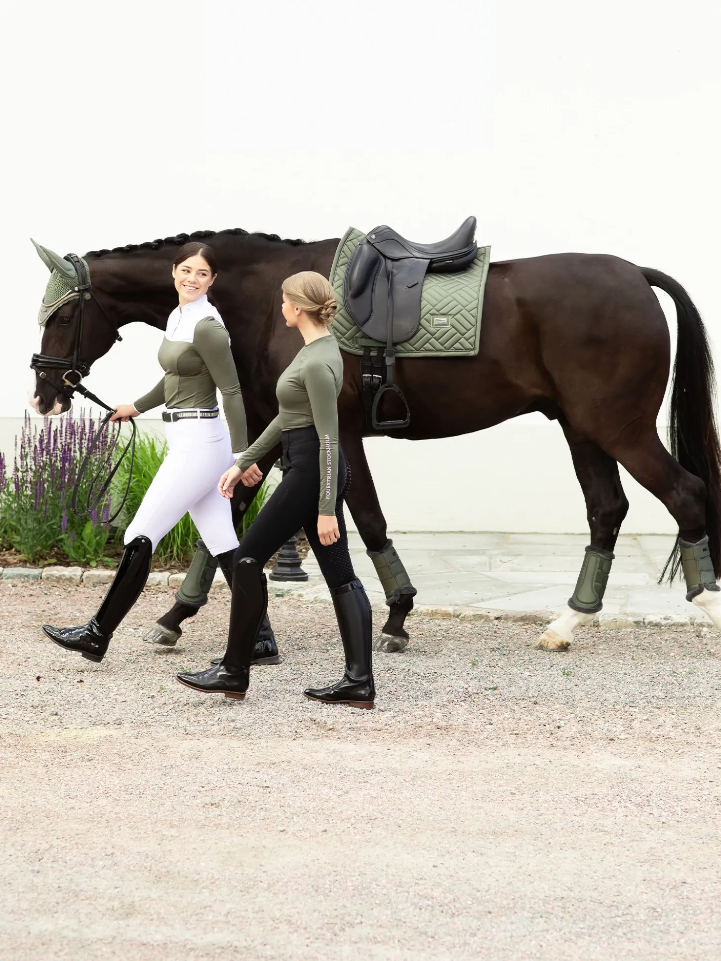 Dressurschabracke Modern