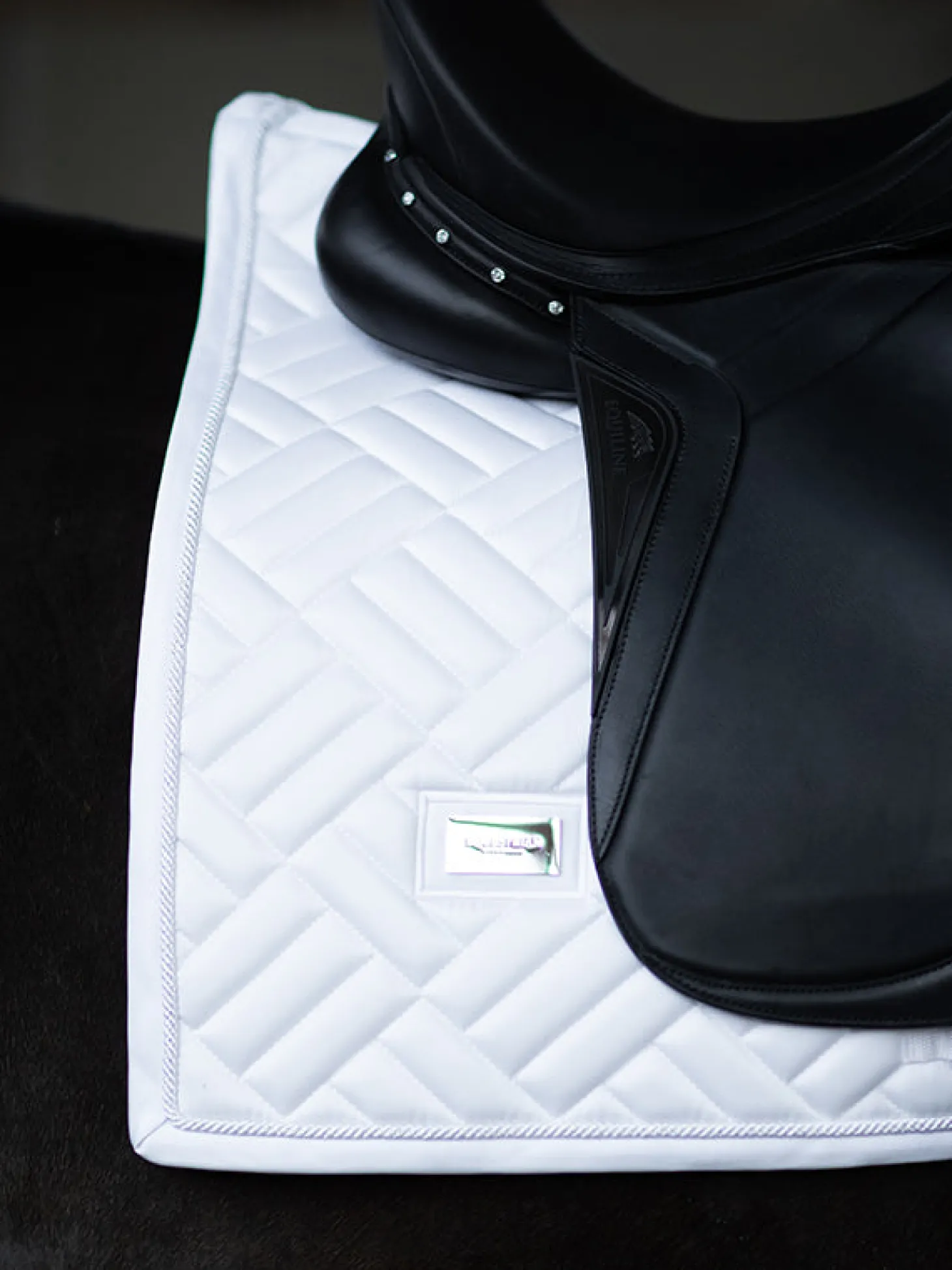 Dressurschabracke Modern