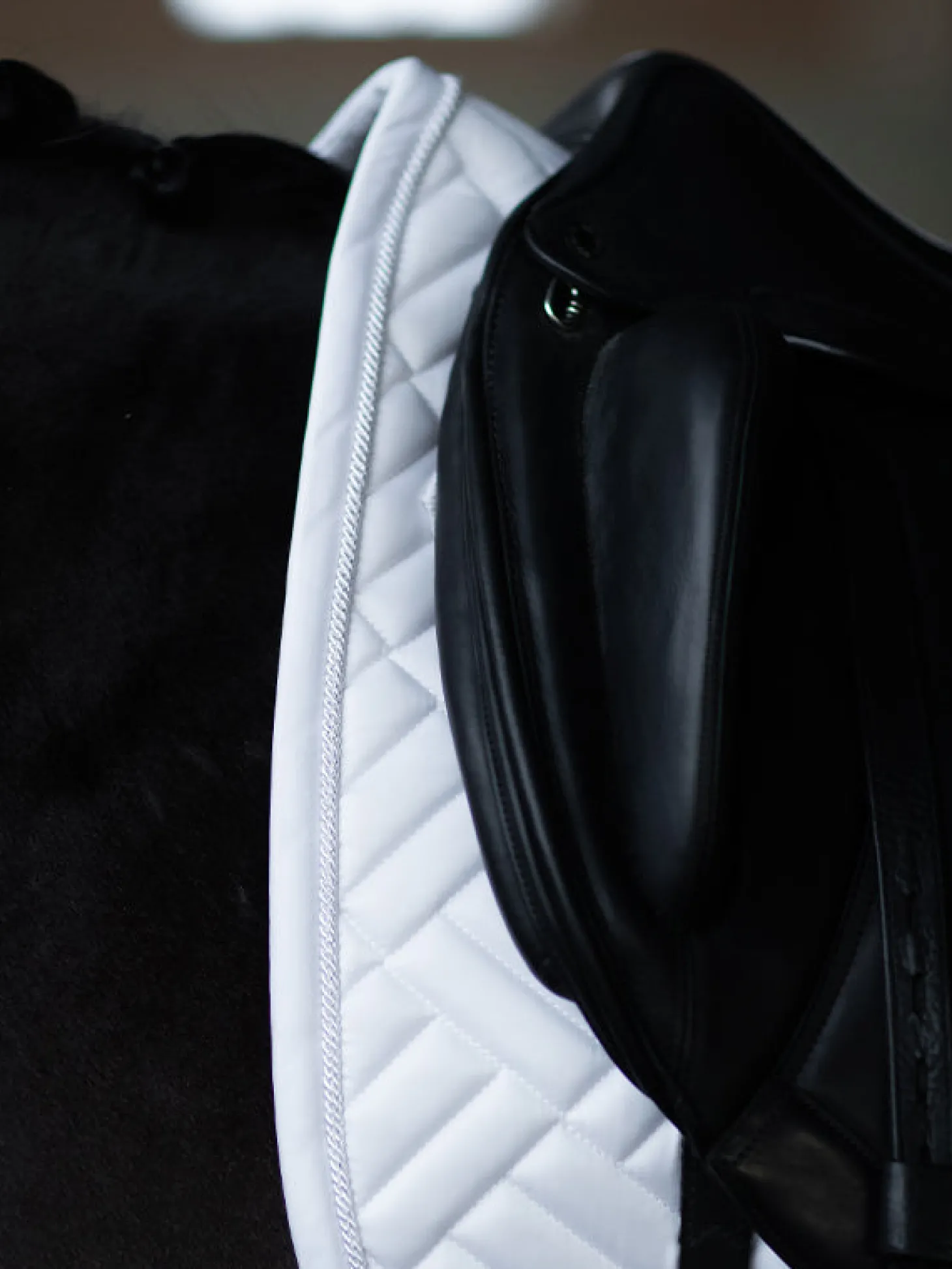 Dressurschabracke Modern