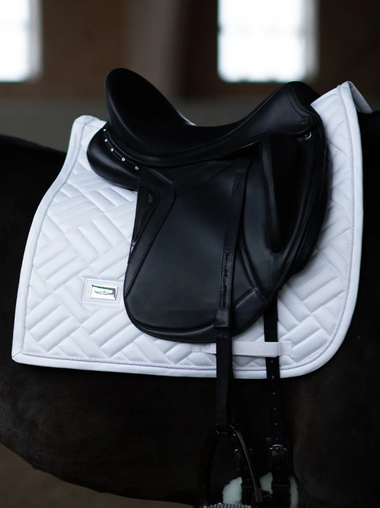 Dressurschabracke Modern