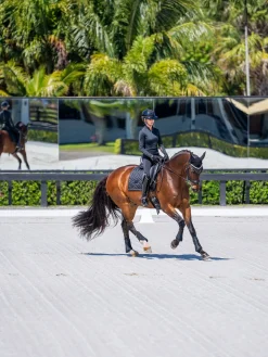 Dressurschabracke Modern