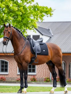 Dressurschabracke Modern Mesh