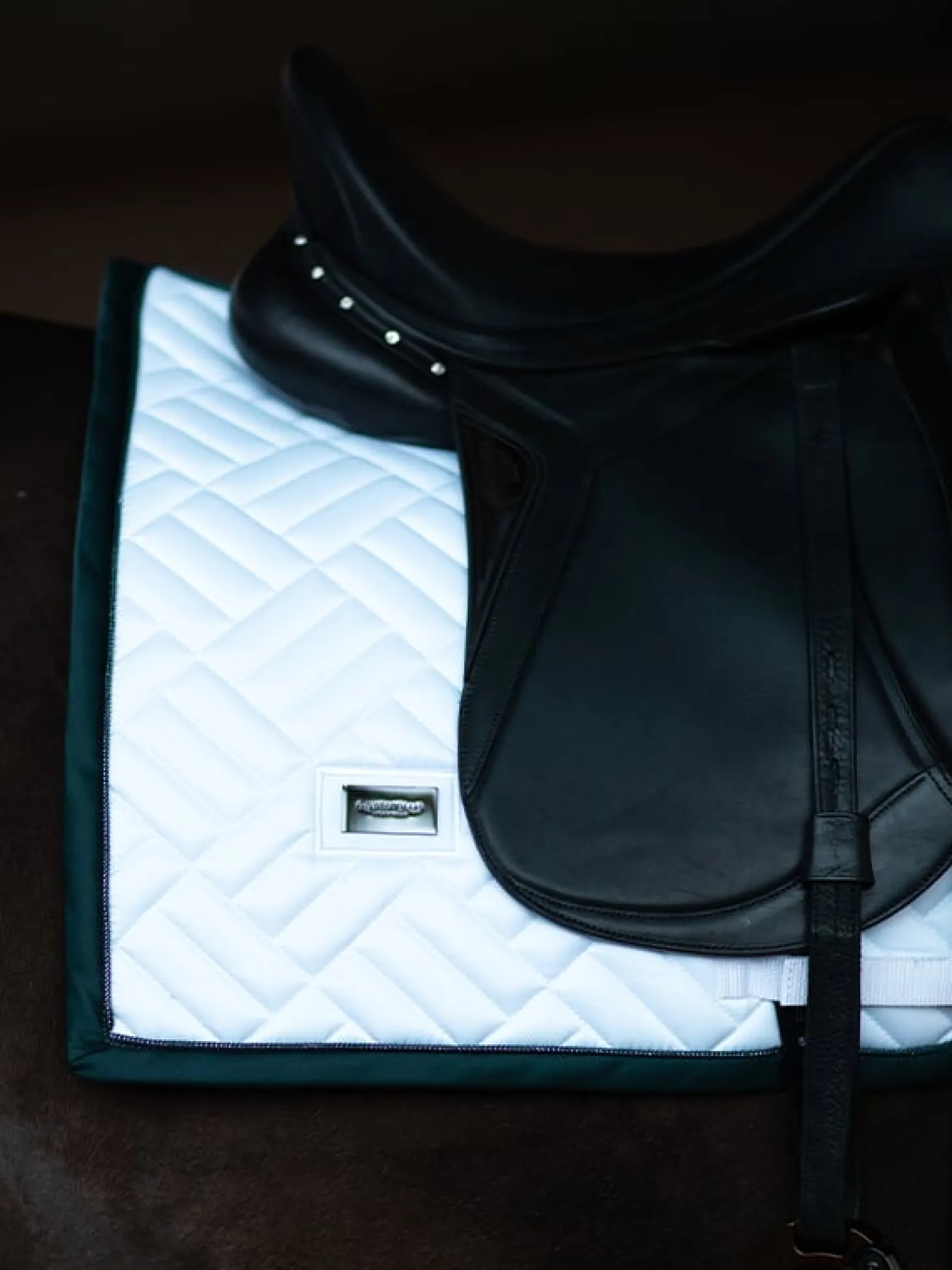 Dressurschabracke Modern White