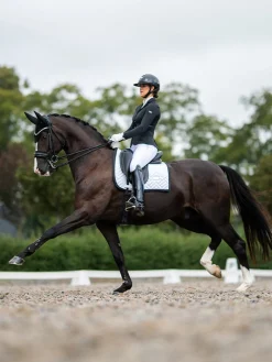 Dressurschabracke Modern White Black