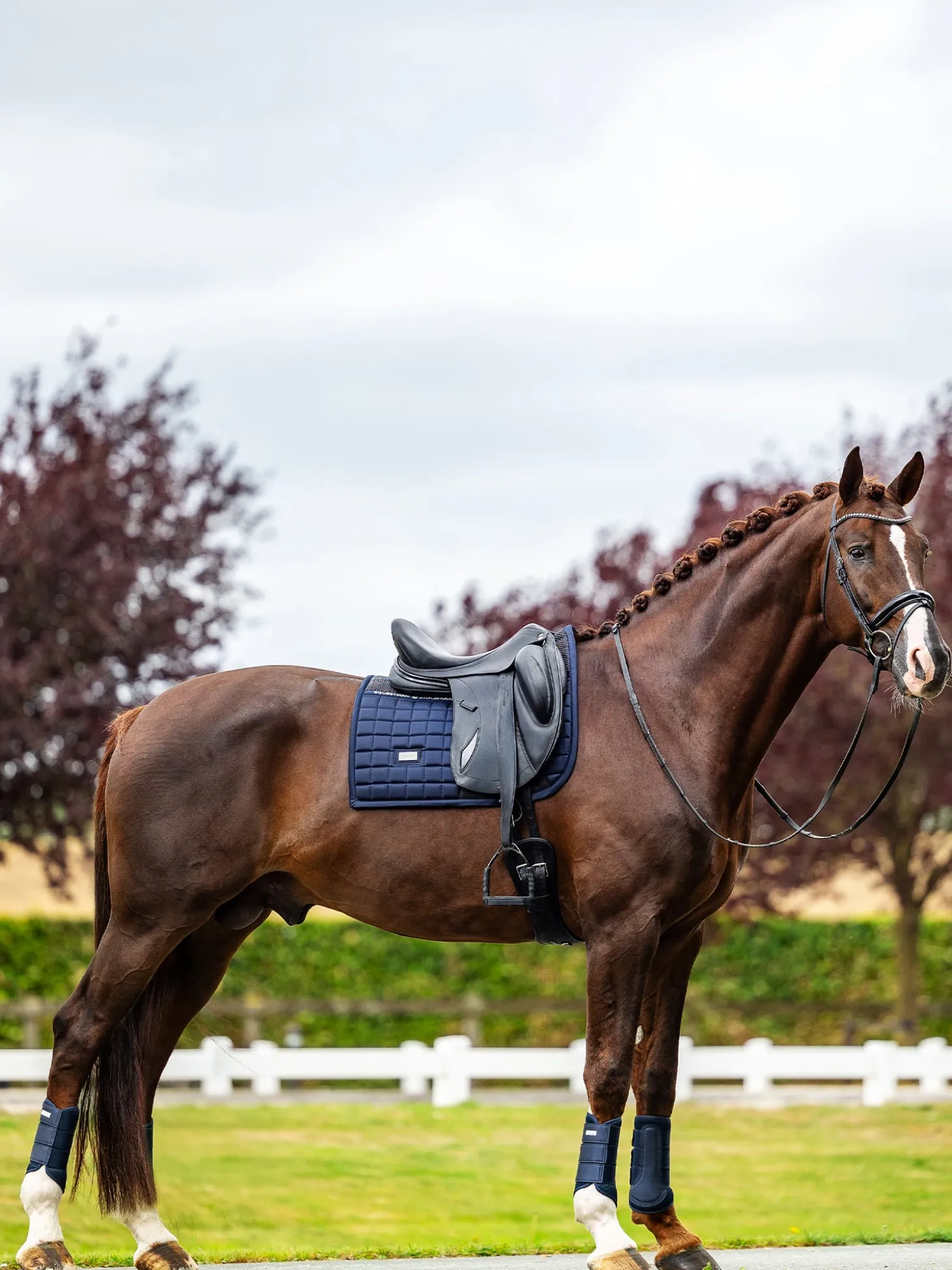 Dressurschabracke Performance