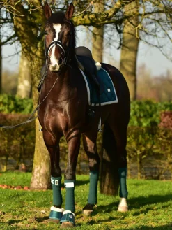 Fleecebandagen Emerald