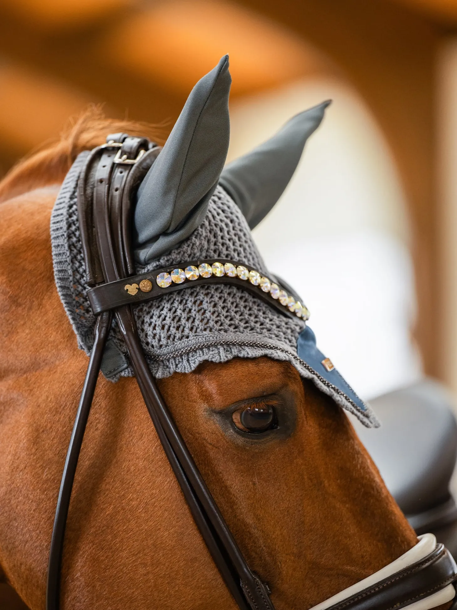 Fliegenhaube
