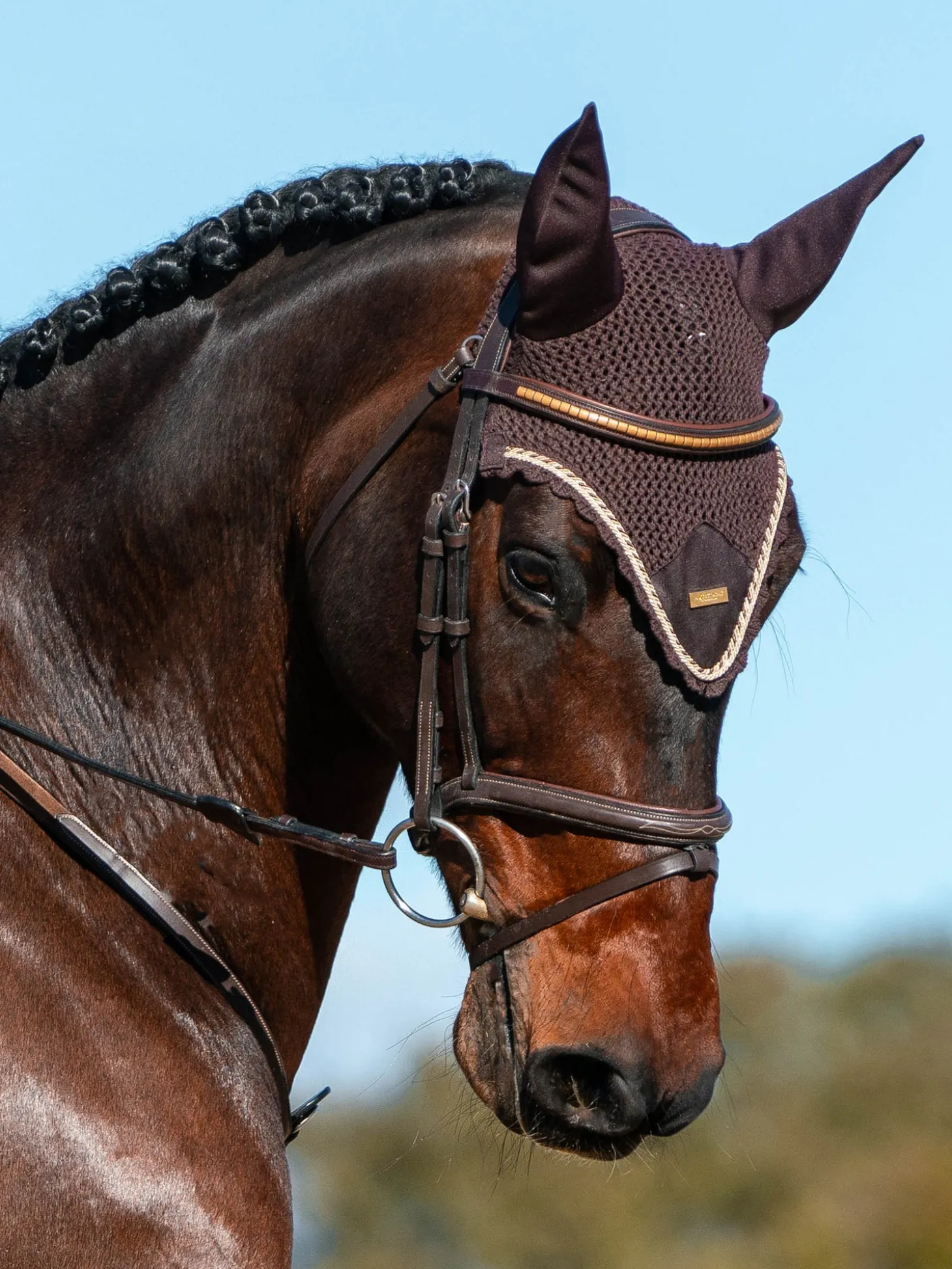 Fliegenhaube