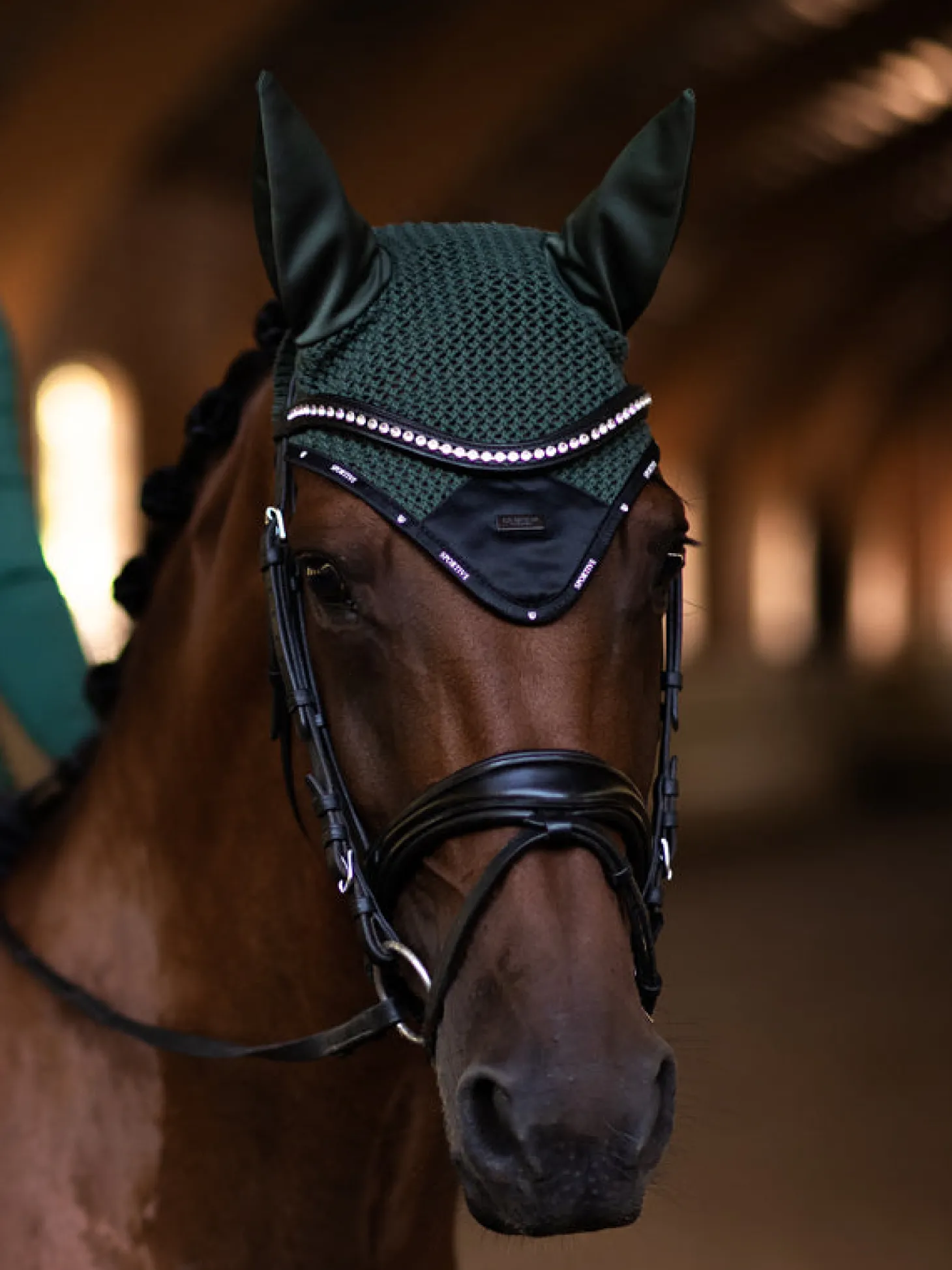 Fliegenhaube Performance