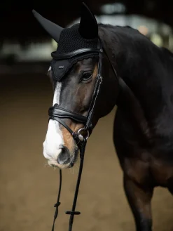 Fliegenhaube Schwarz Silber