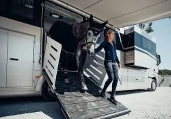 Fliegenhaube Schwarz Silber