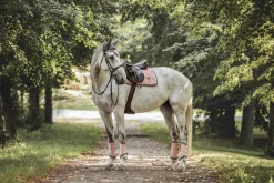 Gamaschen Brushing Boots