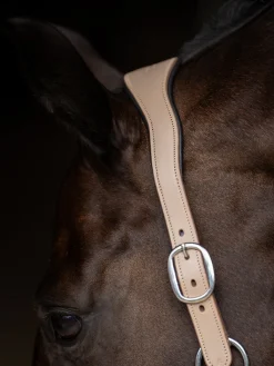 Glimmer Anatomisches Leder Halfter