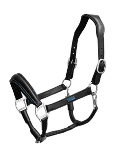 Glimmer Anatomisches Leder Halfter