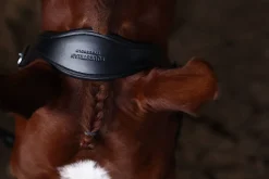 Glimmer Anatomisches Leder Halfter