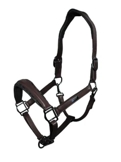 Glimmer Anatomisches Lederhalfter