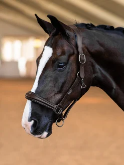 Glimmer Anatomisches Lederhalfter