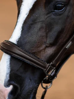 Glimmer Anatomisches Lederhalfter