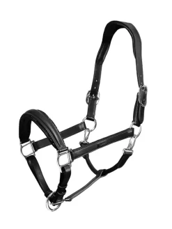 Glimmer Anatomisches Leder Halfter