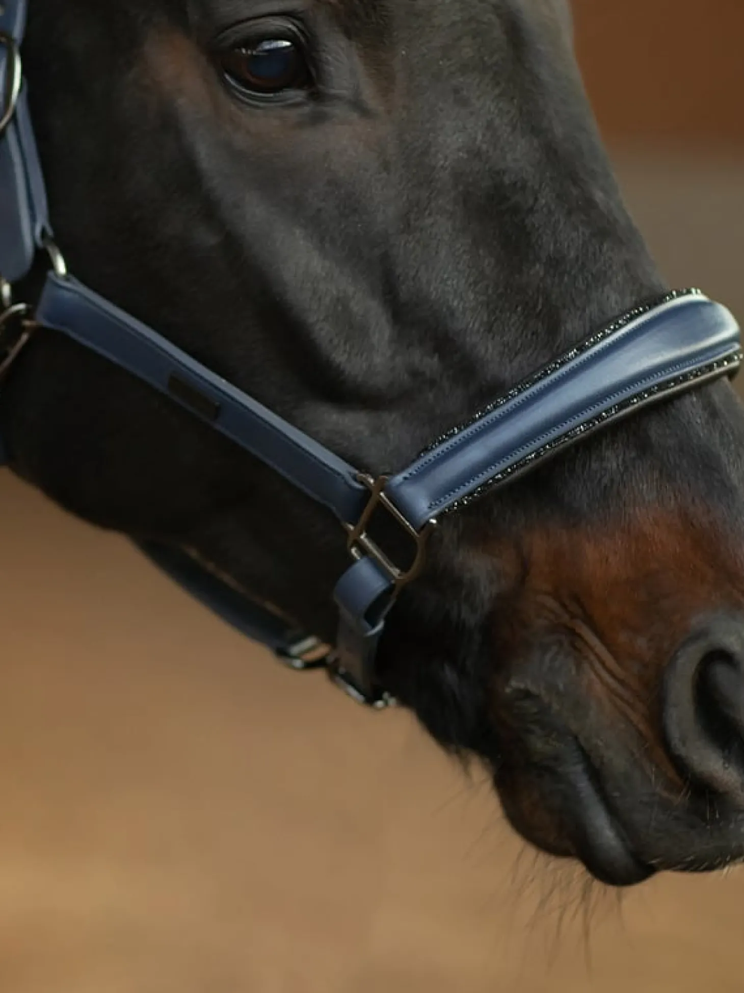 Glimmer Anatomisches Leder Halfter