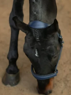 Glimmer Anatomisches Leder Halfter