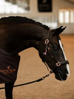 Glimmer Anatomisches Leder Halfter