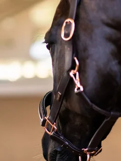 Glimmer Anatomisches Leder Halfter