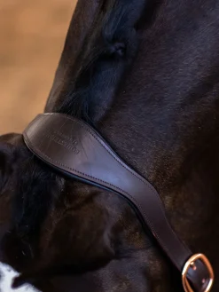 Glimmer Anatomisches Leder Halfter