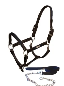 Halfter & Strickt  Silber