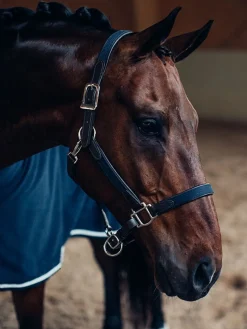 Halfter & Strickt  Silber