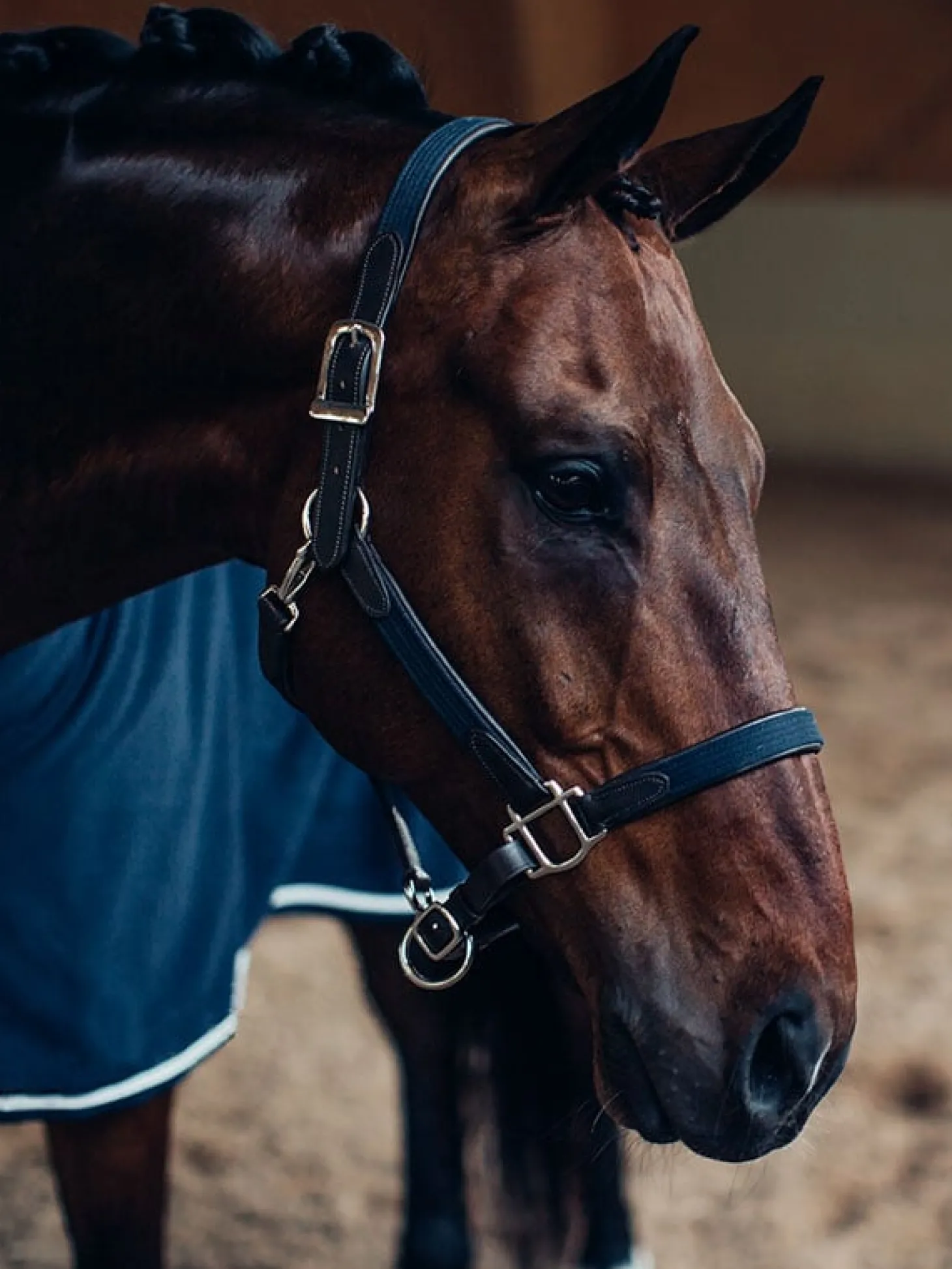 Halfter & Strickt Silber