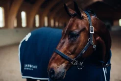 Halfter & Strickt Silber