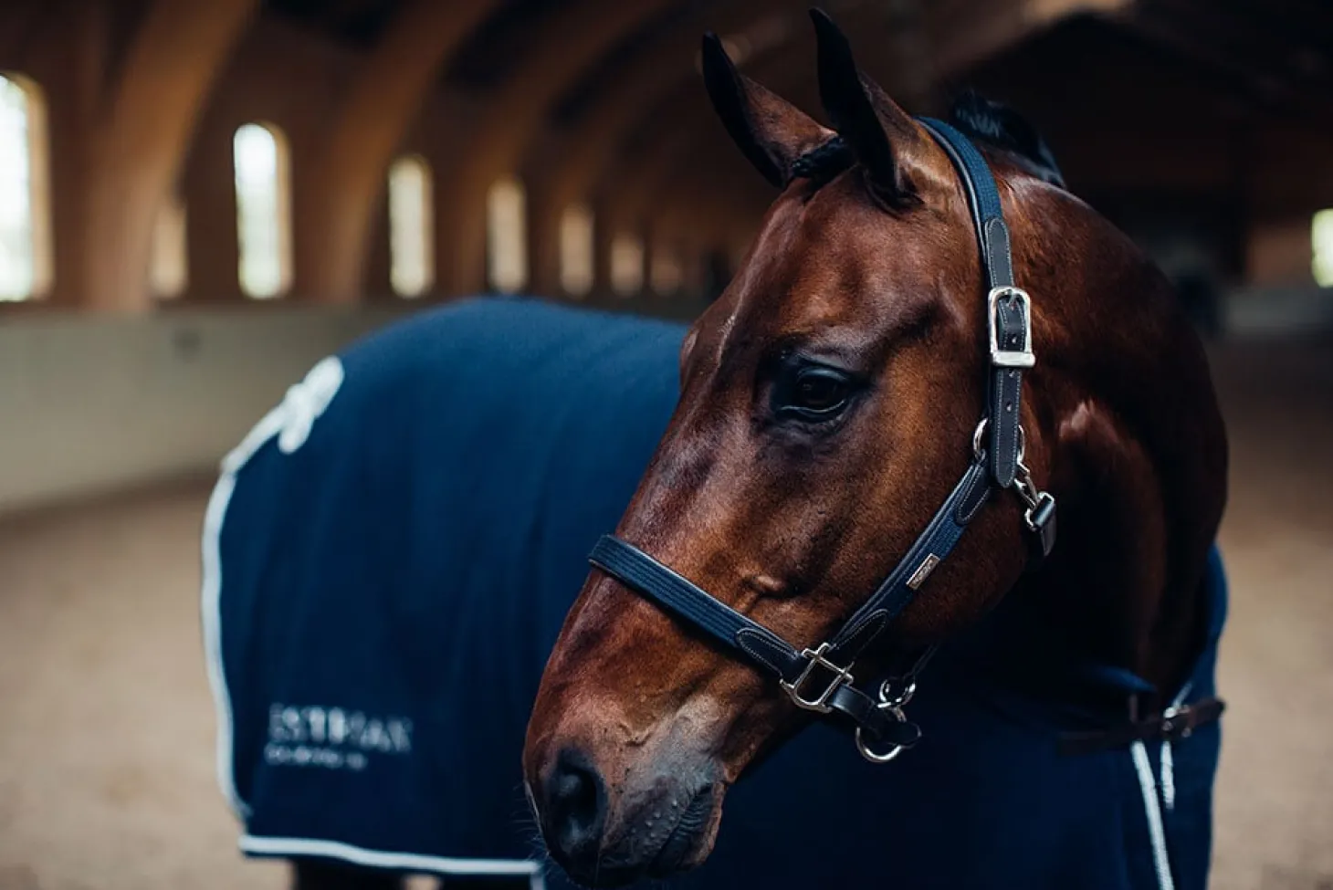 Halfter & Strickt Silber