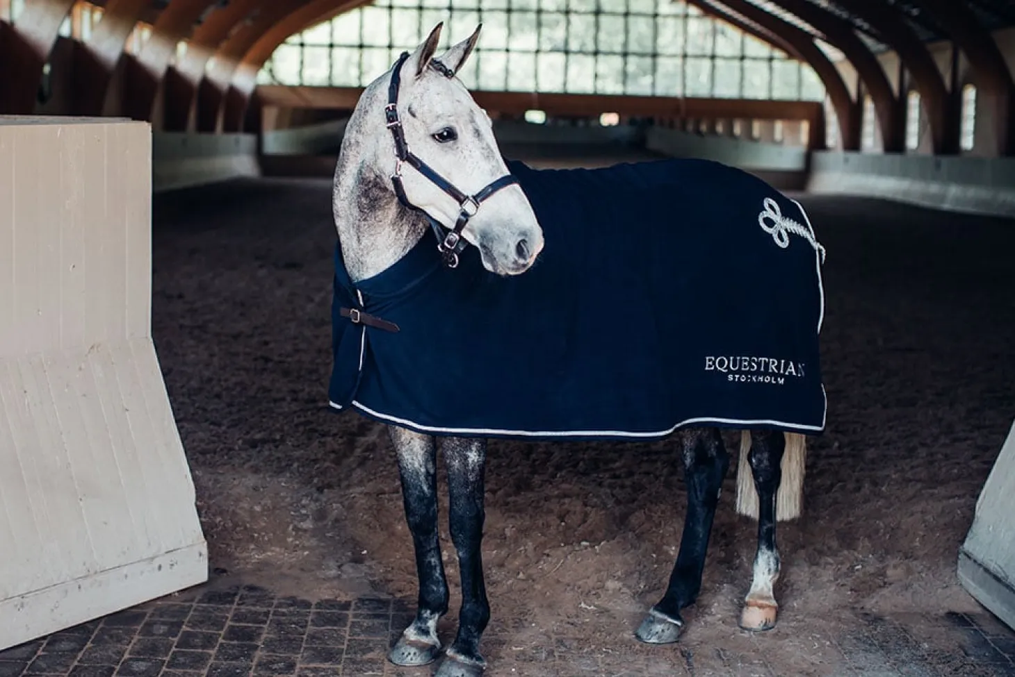 Halfter & Strickt Silber