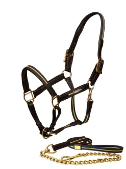 Lederhalfter und Führkette Blau