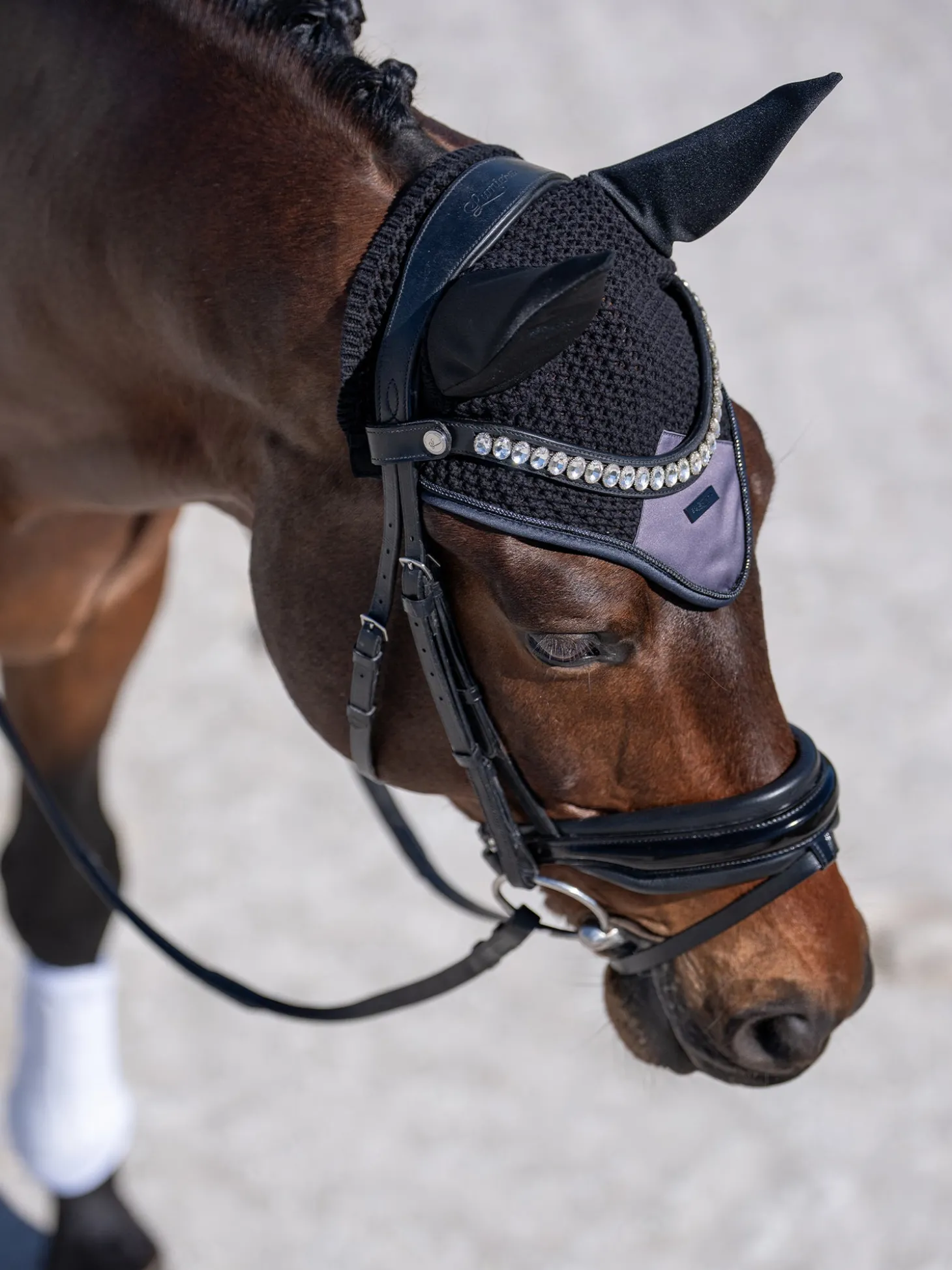 Padded Fliegenhaube Modern