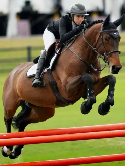 Padded Fliegenhaube Modern