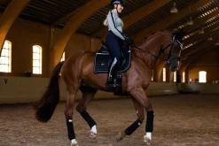 Reflektierende Dressurschabracke Performance