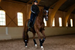 Reflektierende Fliegenhaube Sportive