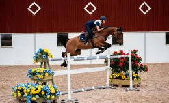 Springschabracke Blau